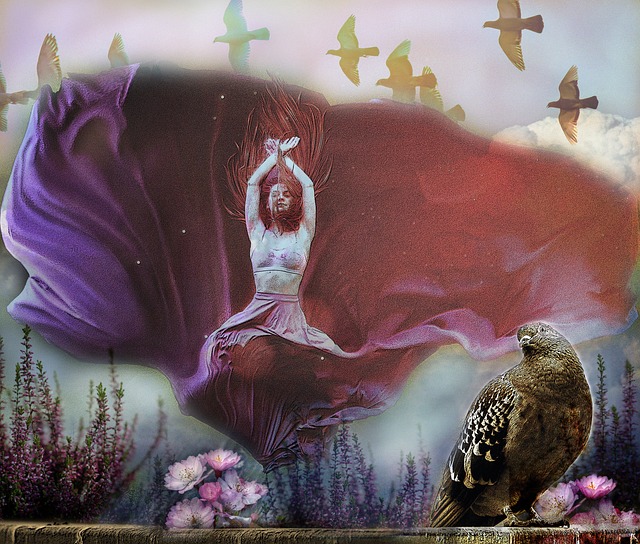 芳草地国际 芳草地国际