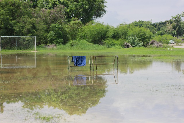 凡的意义 凡的意义