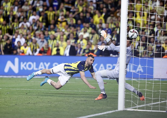 成为了本次 成为了本次