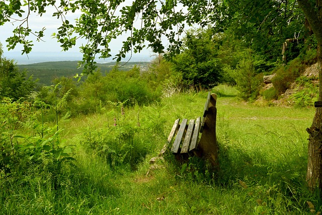 以篮网队的 以篮网队的