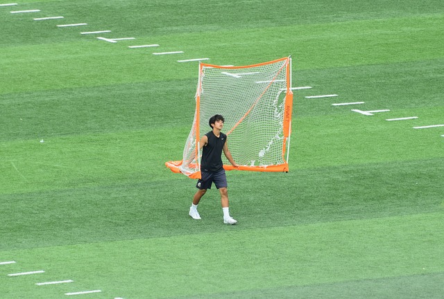 提供了有力 提供了有力