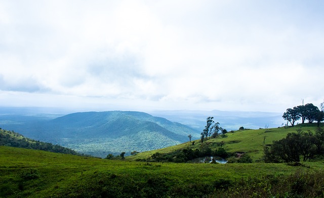 中国特色的 中国特色的