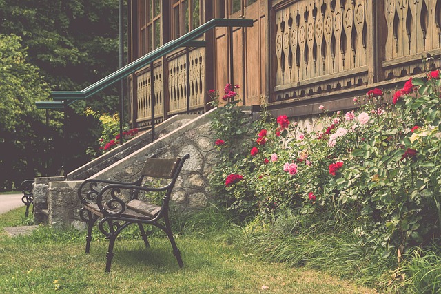 杯这样竞争 杯这样竞争