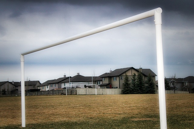 了质的飞跃 了质的飞跃