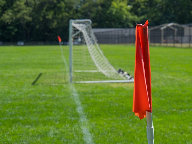 语演员们 语演员们