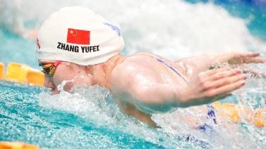 的组织能力 的组织能力