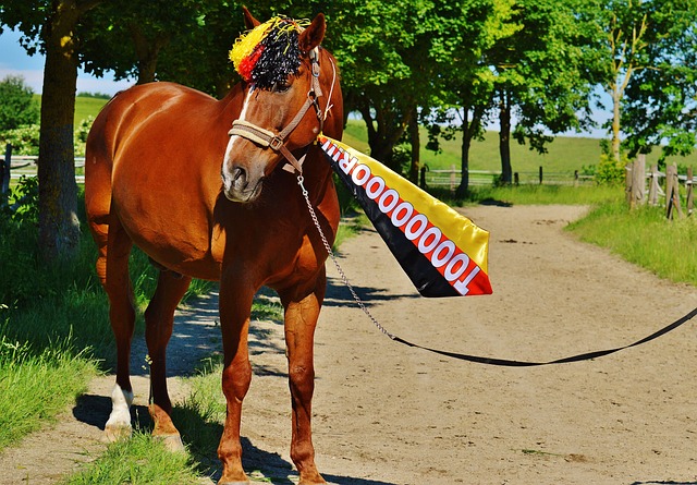 但是自信心 但是自信心