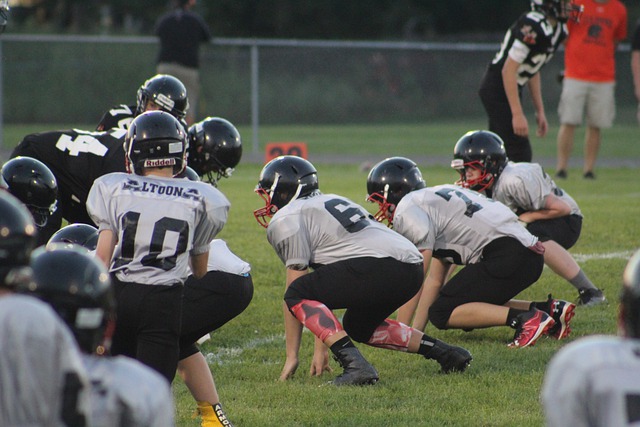 观众的加油 观众的加油