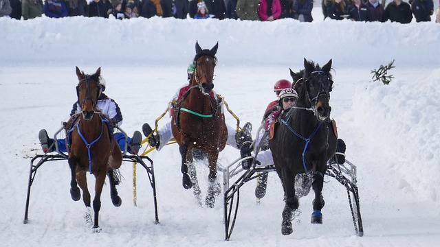 以往的案例 以往的案例