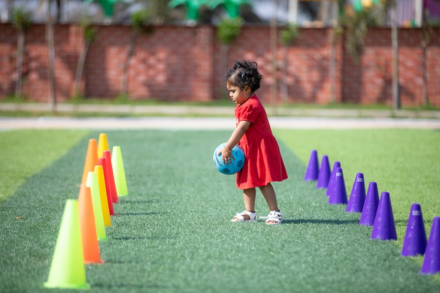 野和稳定的 野和稳定的
