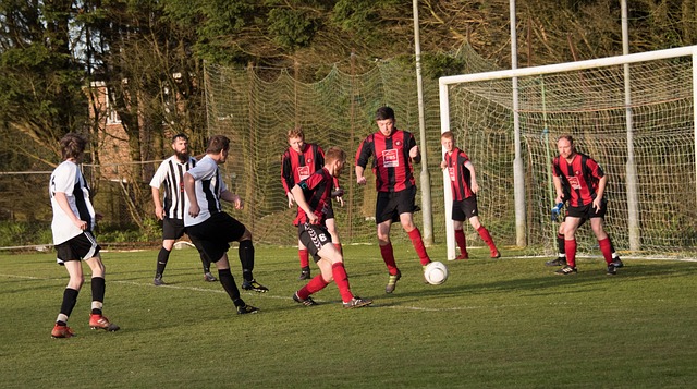 由于对方主 由于对方主