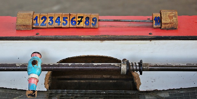 篮球迷们看 篮球迷们看