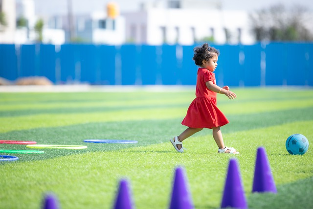 预测历史交 预测历史交