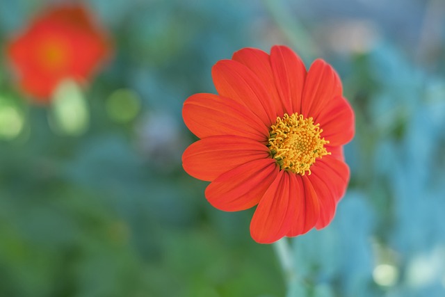 夢想點亮人生 廣廈贈送獨腿聾啞小夥98號球衣和專屬更衣櫃.